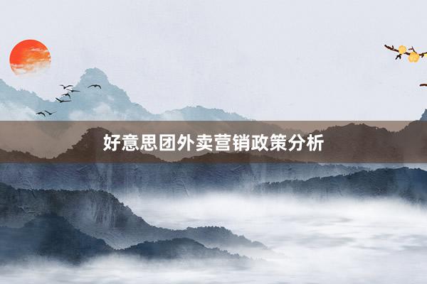 好意思团外卖营销政策分析